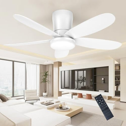 Ceiling Fans with Lights