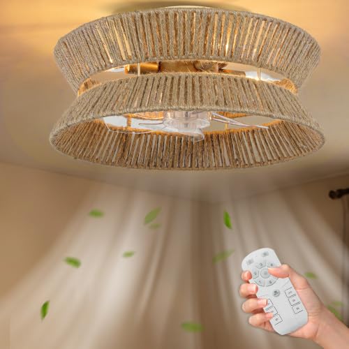 Ceiling Fan with Light