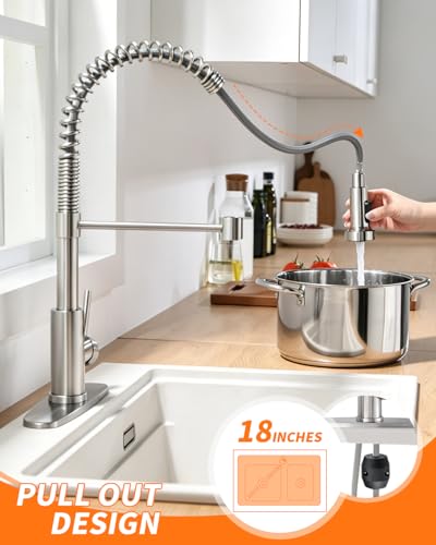 Kitchen Faucet 9009SN