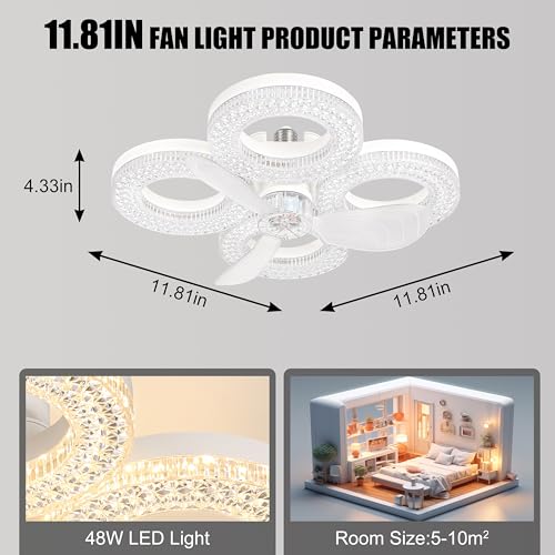 Socket Ceiling Fan Light