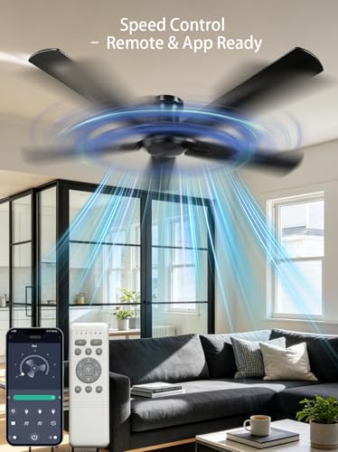 Ceiling Fan No Light