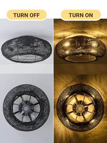ceiling fan
