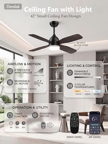 Ceiling Fans with Lights