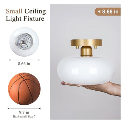 Moredern Black Ceiling Light0 00001