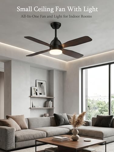 Ceiling Fans with Lights