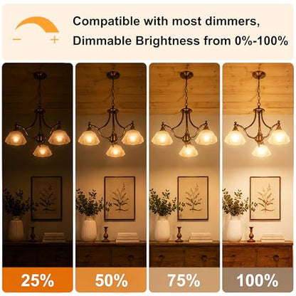 G80 2700K Dimmable Light LED Bulbs