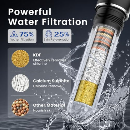 Filtered Shower Head with Handheld