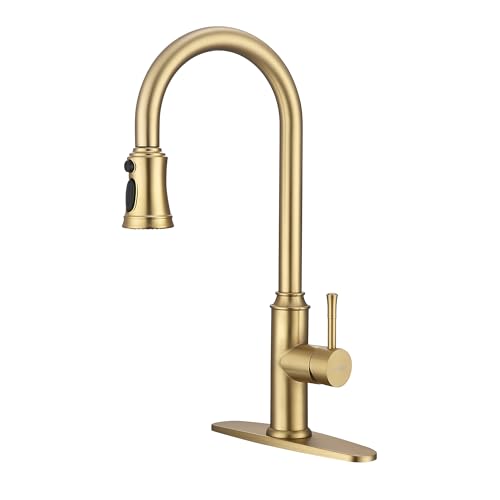 Kitchen Faucet with Pull Down Sprayer
