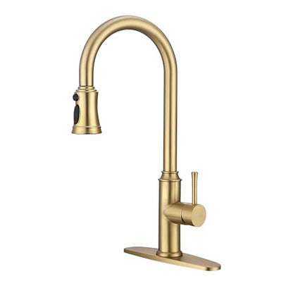 Kitchen Faucet with Pull Down Sprayer