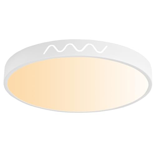 Modern Flush Mount LED Ceiling Light Fixture