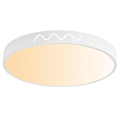 Modern Flush Mount LED Ceiling Light Fixture