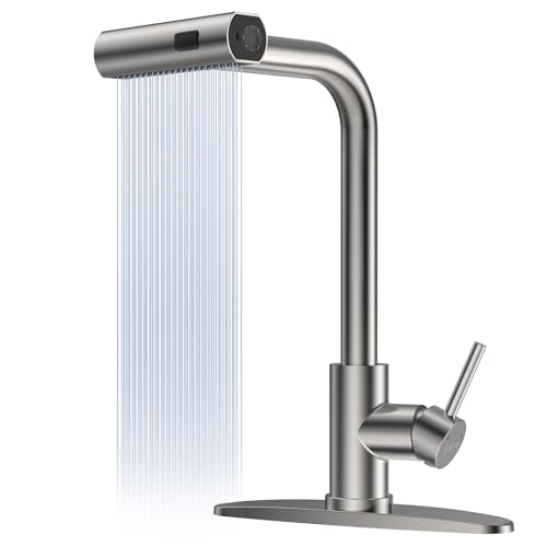 4 Mode Kitchen Faucet with Pull Down Sprayer