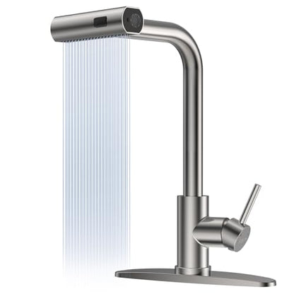 4 Mode Kitchen Faucet with Pull Down Sprayer