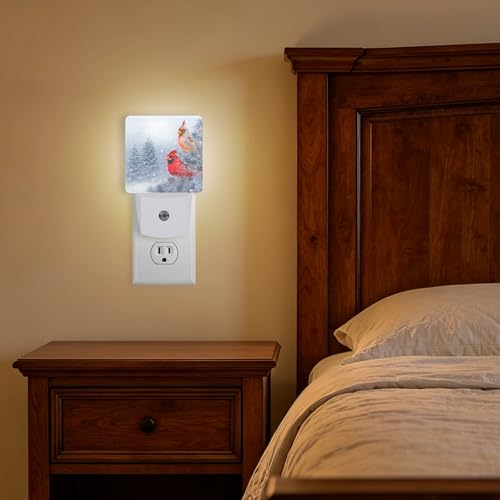Night Lights Plug into Wall (Cardinal A)