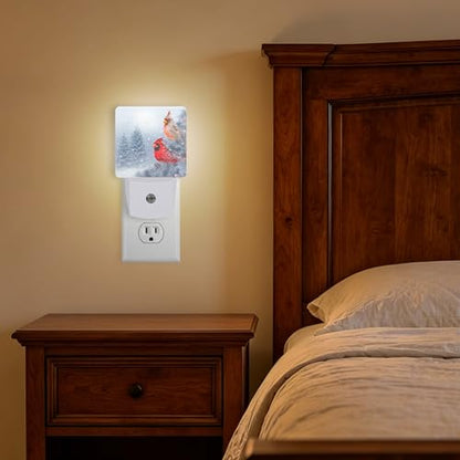 Night Lights Plug into Wall (Cardinal A)