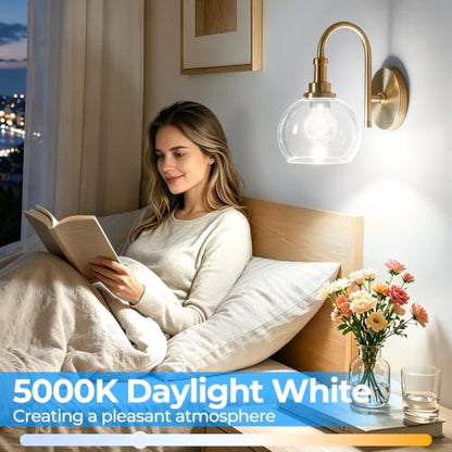 E12 LED Bulb Dimmable (5000k Daylight White / E12 Small Base)