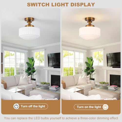 Ceiling Light Fixture