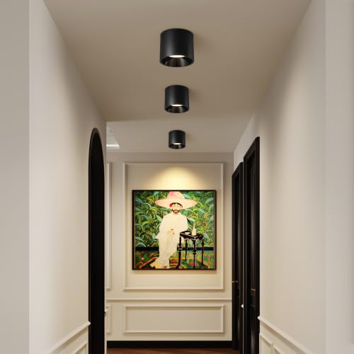 Flush Mount Ceiling Light Fixture