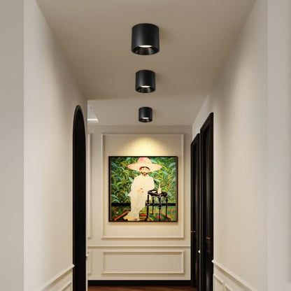 Flush Mount Ceiling Light Fixture