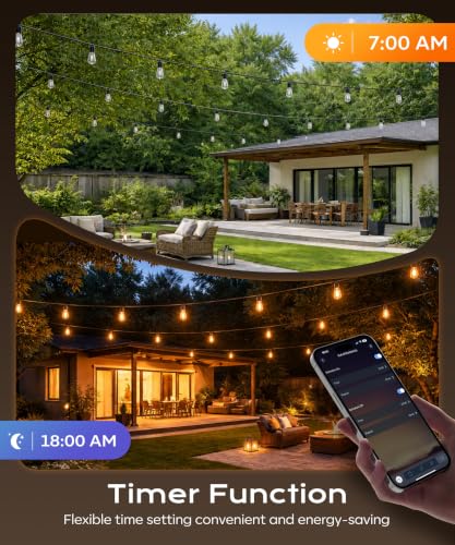 Outdoor Lights