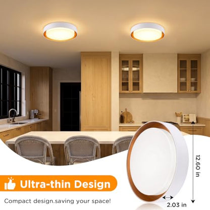 Flush Mount Ceiling Light (Matte White)