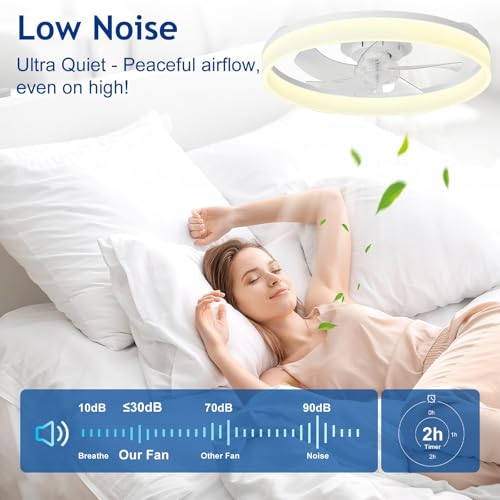 DLLT Modern Ceiling Fans with Lights