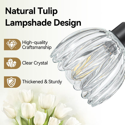 Black Vanity Lights for Bathroom with Clear Tulip Glass Shade (Black - Tulip Clear / 4-light)