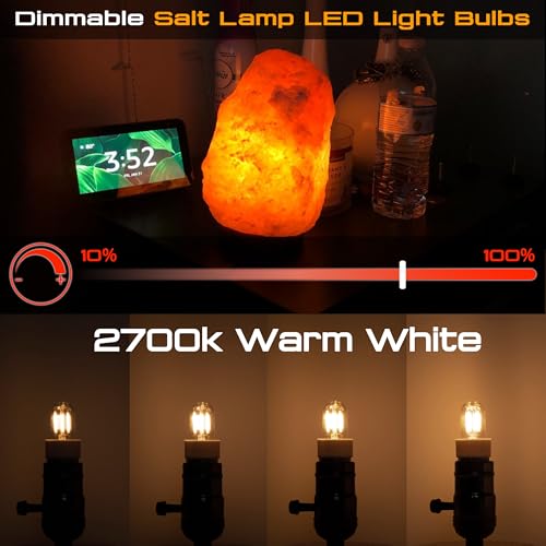 E12 C7 Candelabra Light Bulbs