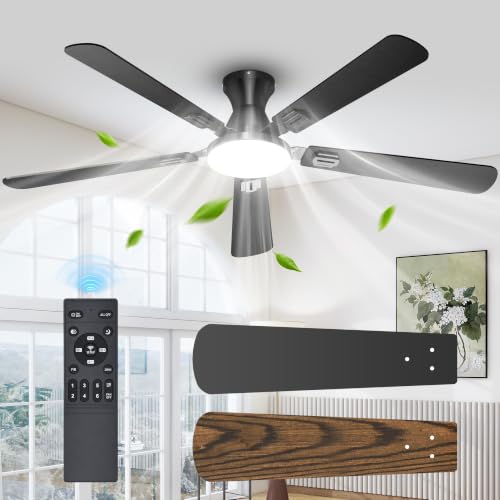 Ceiling Fans with Lights
