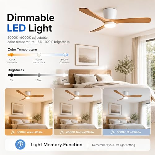 Smart Low Profile Ceiling Fan with Lights and Remote