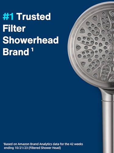 Handheld Shower Head with Filter