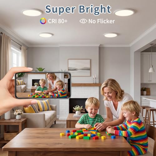 Black 11.4 Inch 4PK LED Flush Mount Ceiling Light
