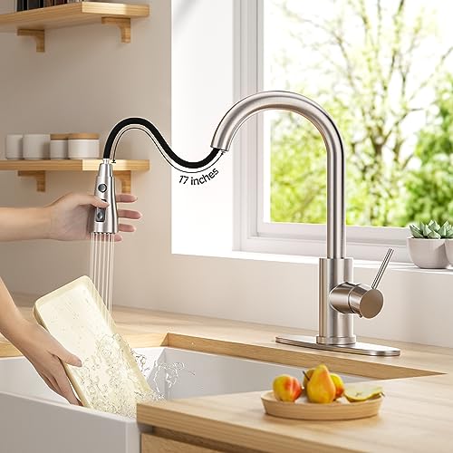 Kitchen Faucet with Pull Down Sprayer