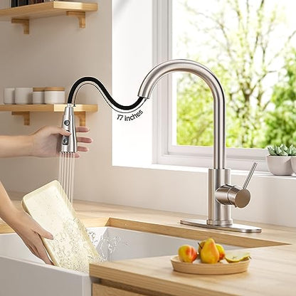 Kitchen Faucet with Pull Down Sprayer