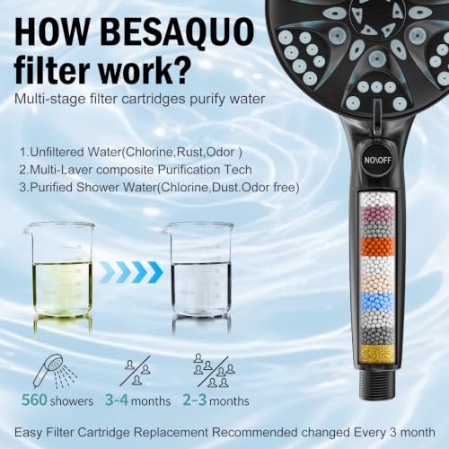 9 Settings Filtered Shower head with Handheld with Power Wash