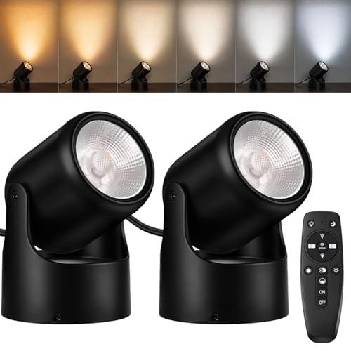 Indoor Uplights with Remote