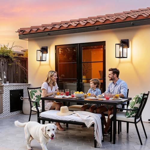 Outdoor Wall Light Fixture