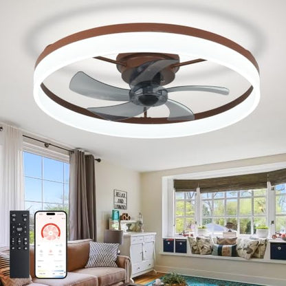 DLLT Modern Ceiling Fans with Lights