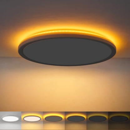 12in LED Ceiling Light with Remote Control Night Light