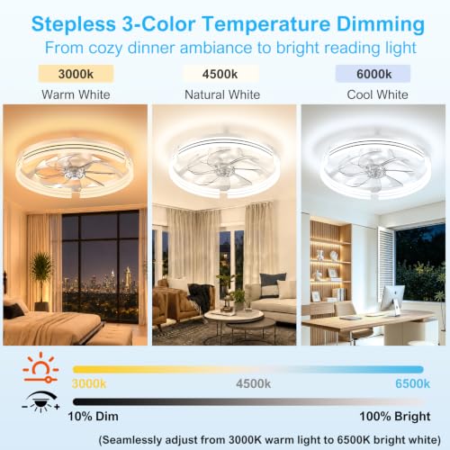 Ceiling Fans with Lights and Remote (White-Stripe / 20 INCH)