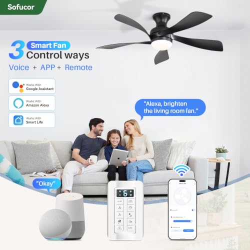 52 Inch Smart Ceiling Fans with Lights and Remote (Black / 52inch Max)