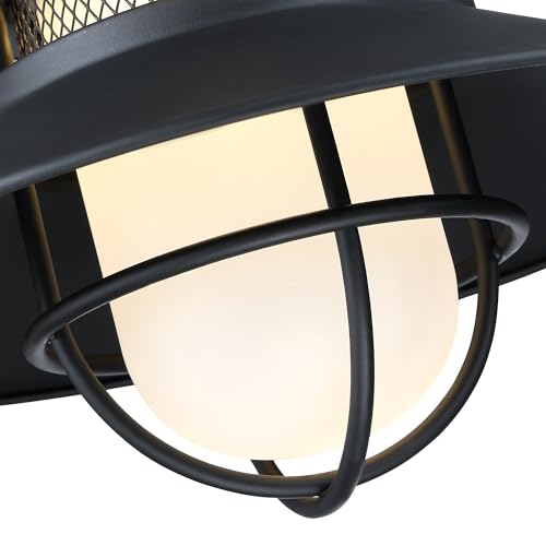 Black LED Antique Outdoor Barn Lights With Cage