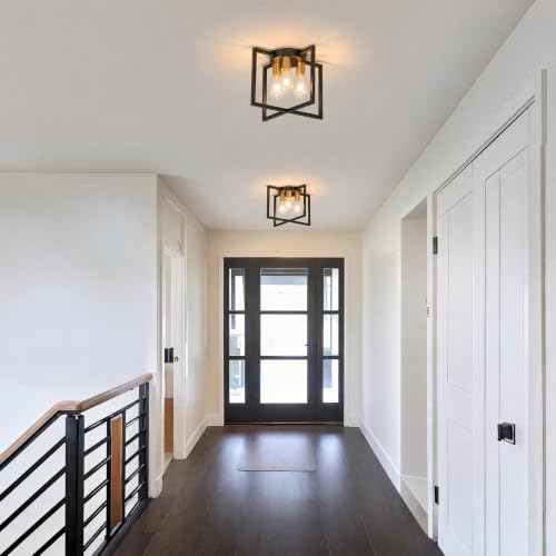 3 Light Ceiling Light
