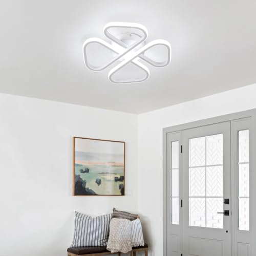 Modern LED Ceiling Light