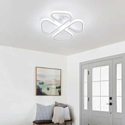 Modern LED Ceiling Light