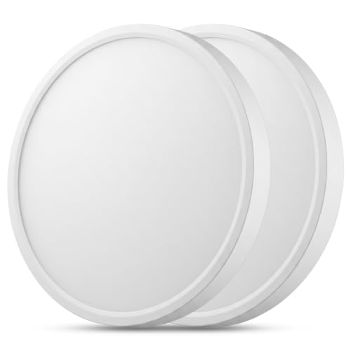 19.3 Inch LED Flush Mount Ceiling Light