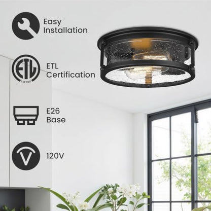 2 Light Flush Mount Ceiling Light Fixtures