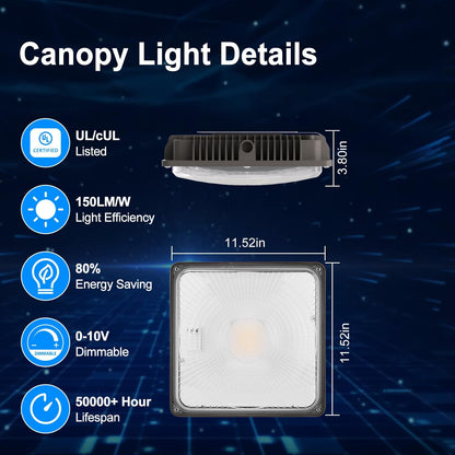 120W LED Canopy Light 20 Pack (120W)