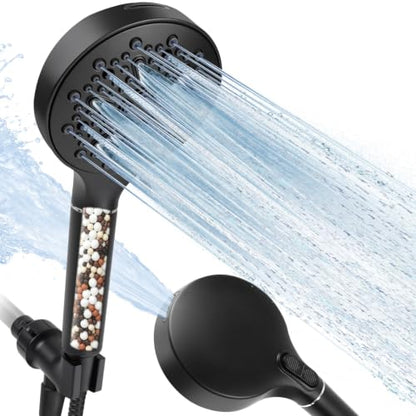 Filtered Shower Head with Handheld