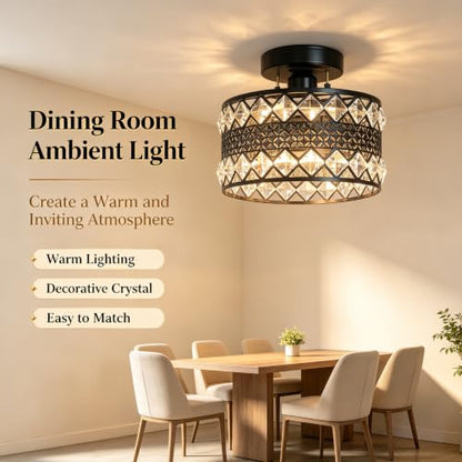 Crystal Ceiling Light Fixture